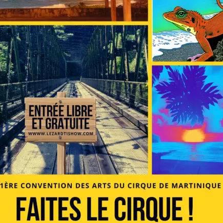 Convention des arts du cirque : Antilles/Guyane